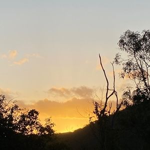 Meet your Posher, Amelia